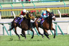 JRA「オークス2～4着全部故障」？ 「高速馬場負担疑惑」再燃、日本ダービー出走馬も多数故障