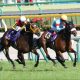 JRA「サマーマイル王筆頭」ロジクライが京成杯出走!秋のマイルG1に向け弾みつける?