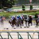 JRA障害最強オジュウチョウサンは確定?JRA「有馬記念ファン投票中間発表」もやはり上位出走少ない?