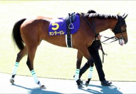 JRAカンタービレ陣営「まさかのミス？」 デムーロ騎乗で大チャンス、ヴィクトリアマイル東西情報を入手！