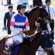 JRA「最強血統」タニノフランケルついに重賞挑戦! セントライト記念(G2)での鍵は……