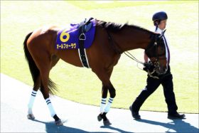 JRA秋華賞（G1）は「影のディープインパクト産」を狙え？ 「非ノーザンファーム」馬の成長力に期待