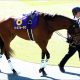 JRAデムーロ「謎の抽選馬選択」に憶測!? 秋華賞「抽選に自信」「空きがない」500万下圧勝馬を選んだ理由