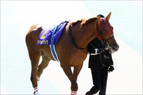 JRAエリザベス女王杯（G1）C.ルメール「3度目の正直」なるか!? ラッキーライラックに1番人気「G1連勝ストッパー」のジンクスが……