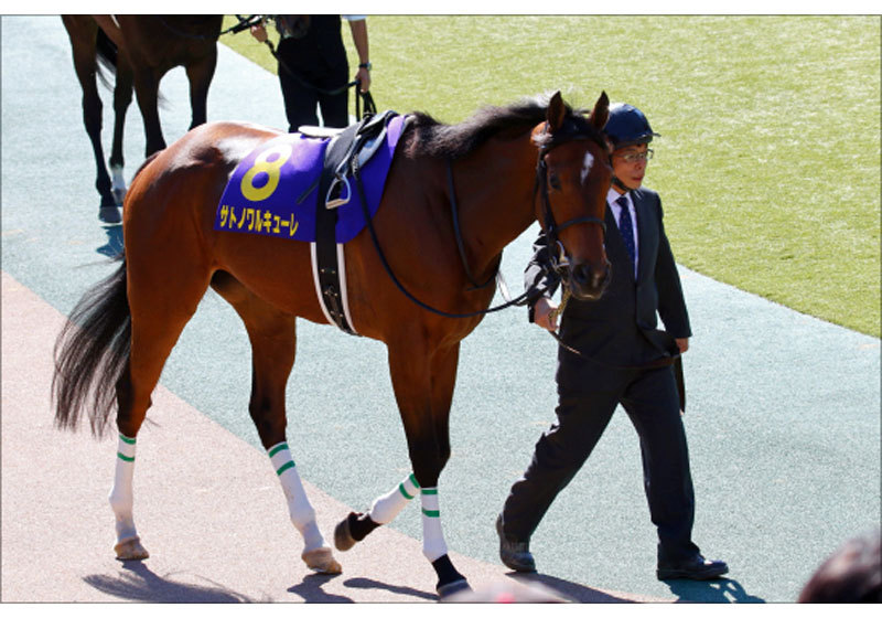 JRA好調福永祐一は「消し」! 大波乱必至マーメイドS(G3)は「マル秘」激走馬がレースのカギ!? 激アツ強力現場情報をもとに高額配当を狙う!の画像2