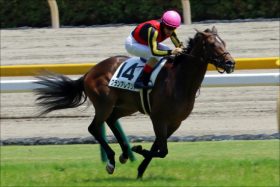 JRA「2019ダービー候補」いきなり出現!? 新馬グランアレグリア鮮烈デビューで「伝説の新馬戦」に!?