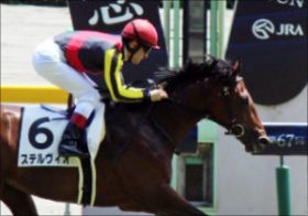 ロードカナロアいきなりの「衝撃」 産駒ステルヴィオの勝利に「欧州最強古馬」も続く？