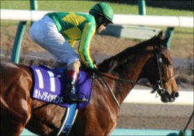 宝塚記念サトノダイヤモンドがボロボロ？ ファン投票1位でも上向き薄く