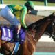 宝塚記念(G1)サトノクラウン「回避」可能性高まる!? 「状態不安」のまま出走メリットなく「まるでG2」に現実味、ダイヤモンドも?