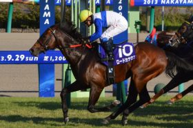 JRA顕彰馬ロードカナロア選出！ 「アーモンドアイ大活躍」で種牡馬としての未来もバラ色