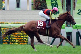 JRA「元牝馬クラシック有力」チェッキーノ復活へ！ 2年ぶりのレースで「能力」見せられる？