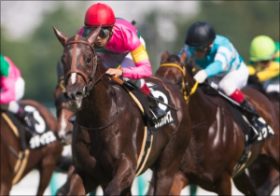 「元イエスタカス」ダッシングブレイズ重賞制覇に高須院長も「イエス」!?　名前に翻弄された素質馬の飛躍が話題