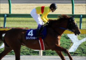 JBCコパノリッキーは「地方の天才」が騎乗！ 夏に叶わなかったタッグで頂点狙うも、不安は……