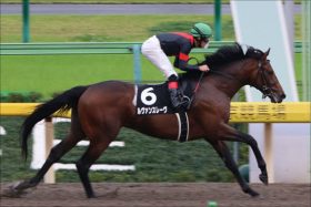 ジャパンダートダービー「怪物」ルヴァンスレーヴ伝説開幕？ ベタ惚れM.デムーロ騎手「ケンタッキーダービーでも行けた」
