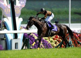 【覇王】キタサンブラックに「最初で最大の挑戦」！ ジャパンCは「3歳世代」の勢いしか、難攻不落の牙城を崩せないか……