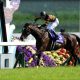 ジャパンC(G1)忘れられた実績馬……「強力なジンクス」「一変の可能性」を秘めた伏兵の激走に要注意!?