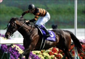 【宝塚記念（G1）枠順確定】キタサンブラックの気になる枠順は？ いざ少頭数グランプリへ