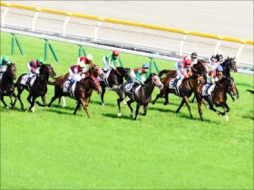 レコードタイム連発!! 洋芝の函館競馬場で今なにが起こっているのか!?