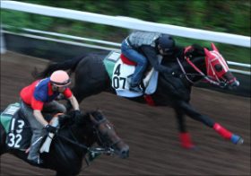 「ゴールドアクターとサトノクラウンは減点」「キタサンブラックは…」鈴木和幸が見極めた宝塚記念出走馬11頭の最終追い切り診断を公開中！