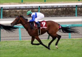 JRA三浦皇成にチャンス到来！「ロードで未勝利」脱却を図るお手馬