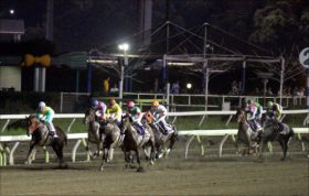JRA「強メンタル」デルマルーヴルがJDD（G1）で3歳ダート王に!? 経験値はクリソベリルより上