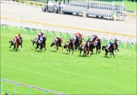 「史上最強馬決定」!? 『Winning Post』主催ドリームレースの勝者は”あの”レジェンド？