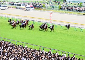 JRA藤田菜七子が千直の鬼ライオンボスを“愛完封”!? 夏の名物レースに覚醒した“鮎釣りオヤジ”も緊急参戦！【アイビスSD（G3）展望】