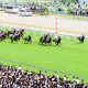 JRA 日本ダービー(G1)キングカメハメハ産駒の連続出走記録がストップも…… 豊富な「後継種牡馬」が今後の日本の競馬界を牽引!