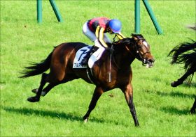 大阪杯（G1）アルアインが「今年盤石」川田将雅で上位必至？ 「代役男」が競馬界の頂へ