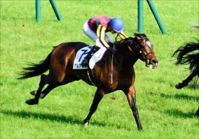 JRA 大阪杯（G1）に「爆穴」発見!! 強力「現場ネタ」から「小点数」勝負を決行!!