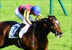 京都記念（G2）アルアイン「正念場」か……待望の松山弘平騎手とのコンビ復活に見える「終わりの時」