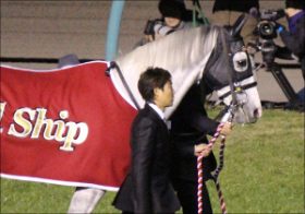 ゴールドシップ初産駒がセレクトセールに登場予定!!　順調な種牡馬生活を送るも気になるのはあの”ムラッ気”!?