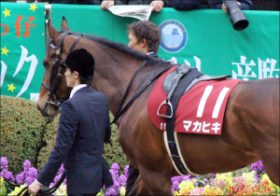 昨年の日本ダービー馬マカヒキ復活の鍵は「ダート」転向!? ダートで成功したディープインパクト産駒の意外な「共通点」とは