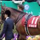 天皇賞マカヒキが今回こそ「オイシイ」!? 前走の大惨敗「理由」と消えない鞍上不安、しかし……
