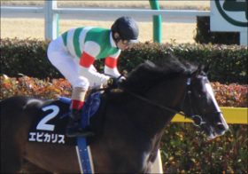 【マーチS（G3）展望】復活を目指すエピカリスと勢いに乗るハイランドピーク！ 両極端な立場にいる2頭が今後の覇権をかけ激突