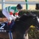 JRA藤田菜七子「1000回騎乗」デビュー以来もっとも注目された「激動の7月」を超え……