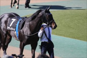 武豊の騎乗は!? レパードS登録のアディラート、エピカリス前の「障壁」と「使い詰め」の不安