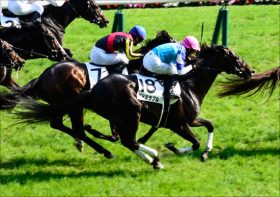 アドミラブル年内休養!! レイデオロへのリベンジは来年に持ち越し……