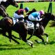 神戸新聞杯(G2)レイデオロは本当に強いのか。歴史的超スローを神騎乗で勝った”謎”のダービー馬が「100%馬券」の最強データ破る?