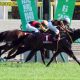 JRA入り「超本気」モレイラ騎手の菊花賞(G1)はアノ馬!? 初の秋競馬参戦「神業スケジュール」でG1勝ちまくり?