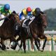 JRA入り「超本気」モレイラ騎手の菊花賞(G1)はアノ馬!? 初の秋競馬参戦「神業スケジュール」でG1勝ちまくり?