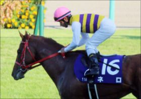 松田大作×ネロのコンビ実現もあった？「ニシノ」軍団の大物個人馬主が語る「大望」と地方競馬のホープ・中野省吾「抜擢」のいきさつとは…