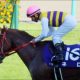 中野省吾「JRAではなくマカオ」騎手復帰で「競馬界のホリエモン・本田圭佑」爆誕!? 興味があるのは「ビジネス」も