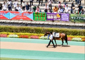 JRA和田竜二騎手、ファンへの「神対応」に大絶賛！ 競馬界きってのお祭り男は中身もイケメン