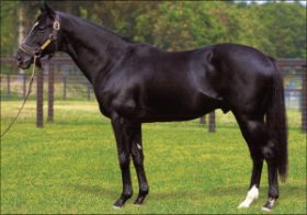 サンデーサイレンス「最後の競走馬」引退……圧倒的伝説ここに終幕で、受け継がれる「血筋」