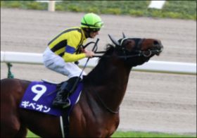 JRA1億円馬ギベオンがセントライト記念（G2）で激走の予感……良血馬がここでさらに活躍？