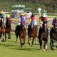 ヨシトミ先生が魅せた! 東スポ2歳S(G3)は東京得意のブレスジャーニーが勝利
