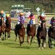 ムツゴウロウが引退? 名物馬主シゲル軍団2015年の魚シリーズはどうなった?