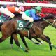 神戸新聞杯(G2)レイデオロは本当に強いのか。歴史的超スローを神騎乗で勝った”謎”のダービー馬が「100%馬券」の最強データ破る?