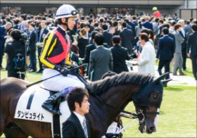 武豊「G2・100勝」に足踏み続く……ダンビュライト神戸新聞杯（G2）制覇で菊へ弾み？